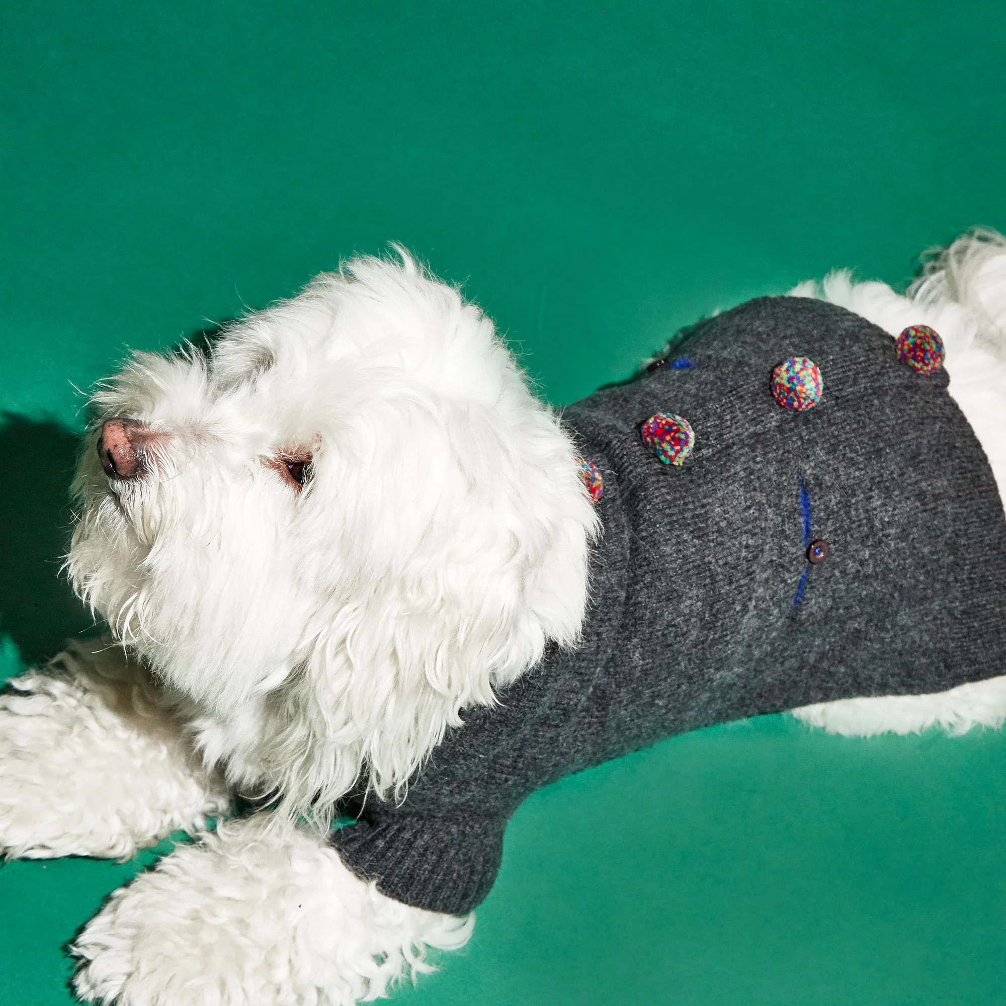 WARE OF THE DOG | Pom Pom Cardigan in Grey - Image 3