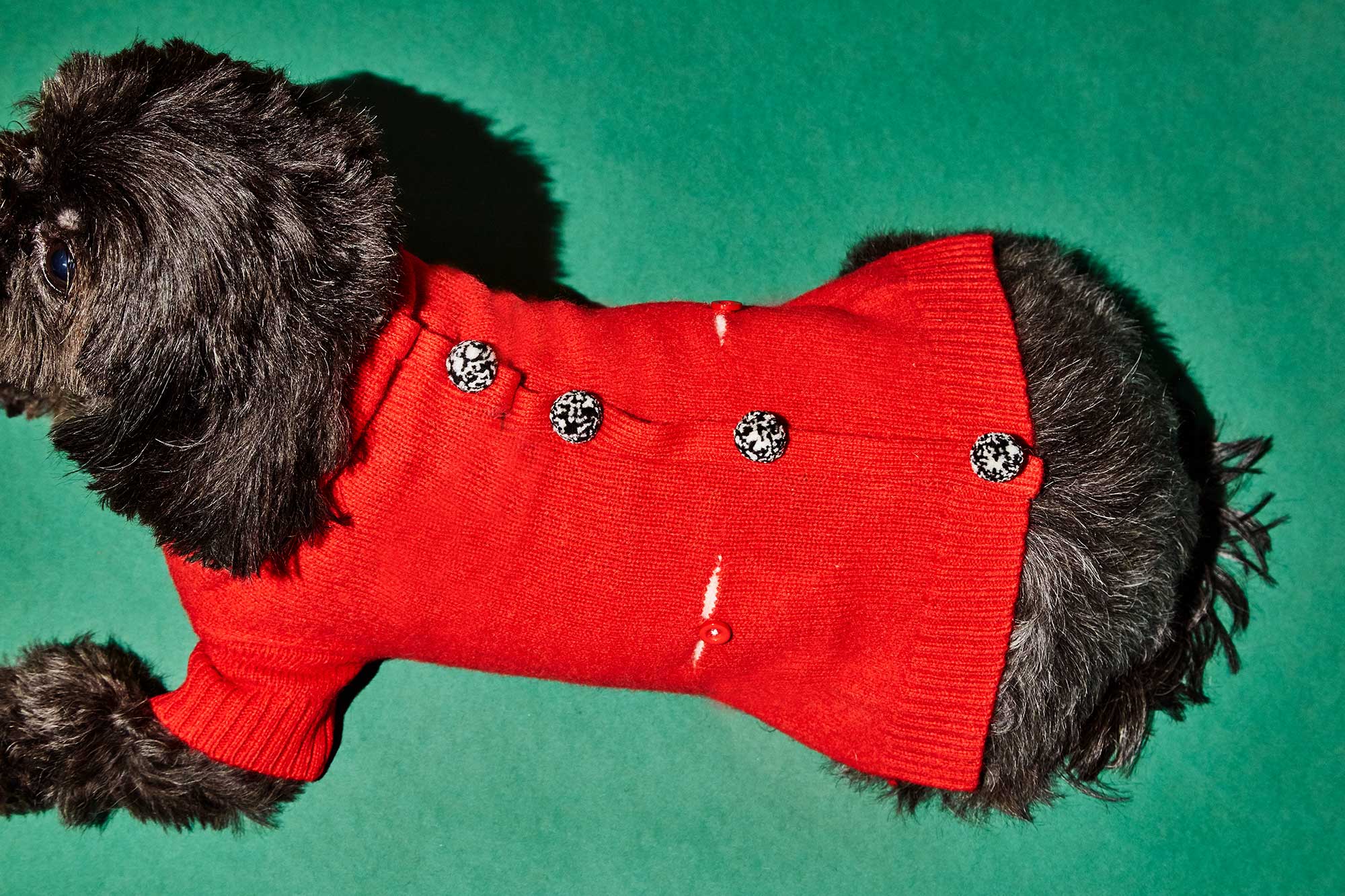 WARE OF THE DOG | Pom Pom Cardigan in Red - Image 3