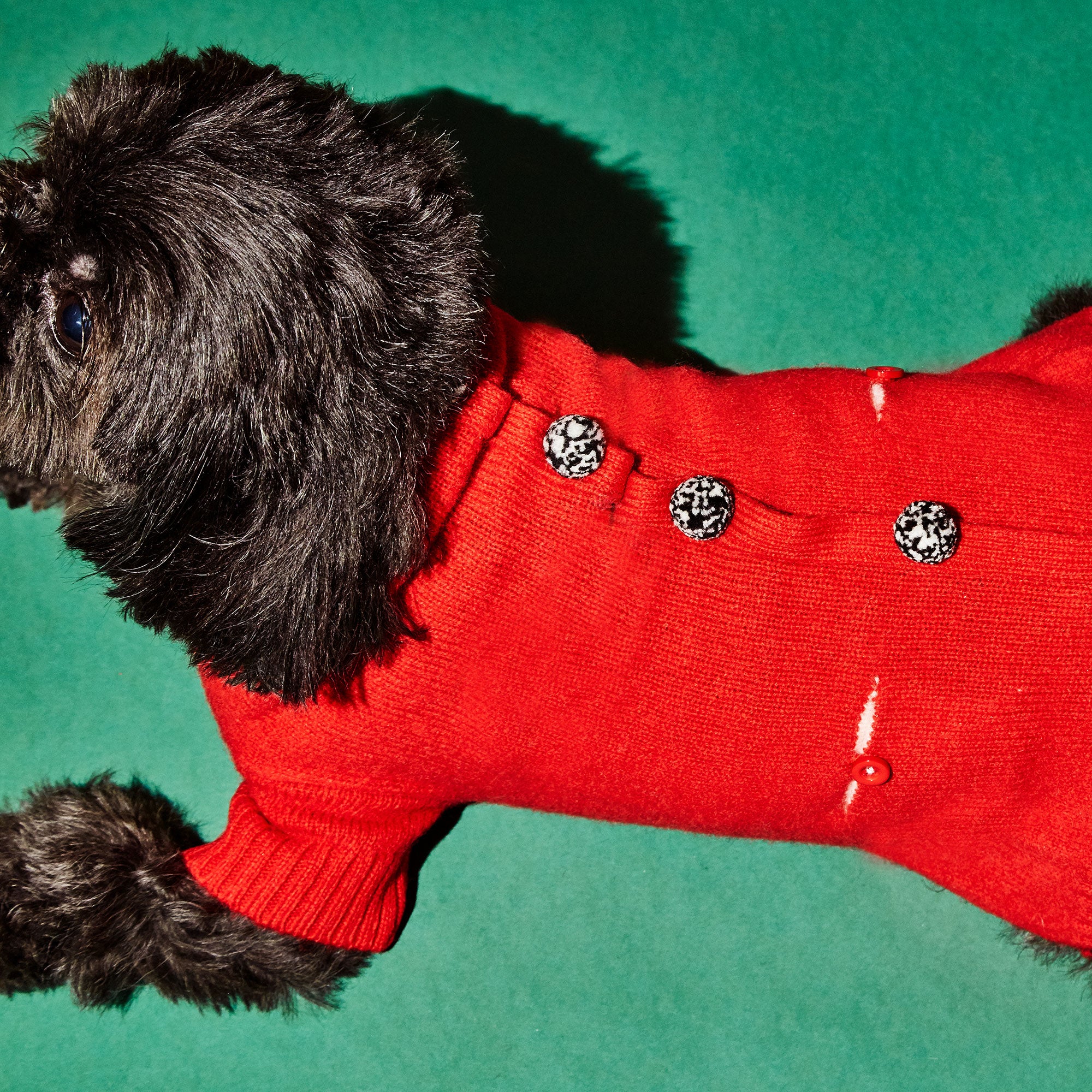WARE OF THE DOG | Pom Pom Cardigan in Red - Image 4