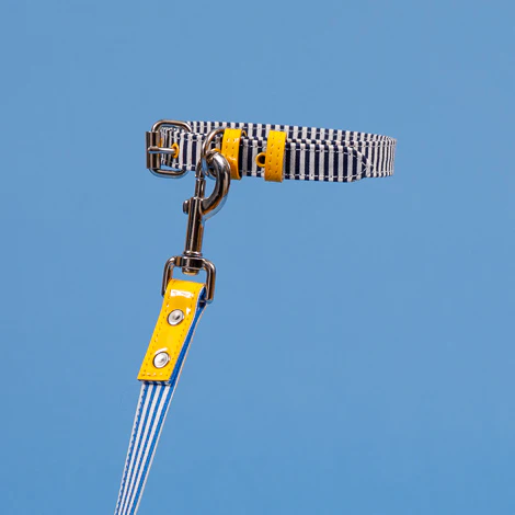 Striped Canvas Collar - Image 2