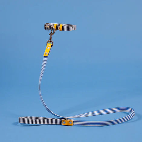 Striped Canvas Collar - Image 4