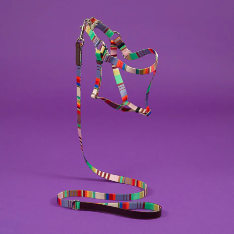Webbing Nylon Dog Harness in Lavender Stripe<br>(FINAL SALE) - Image 2