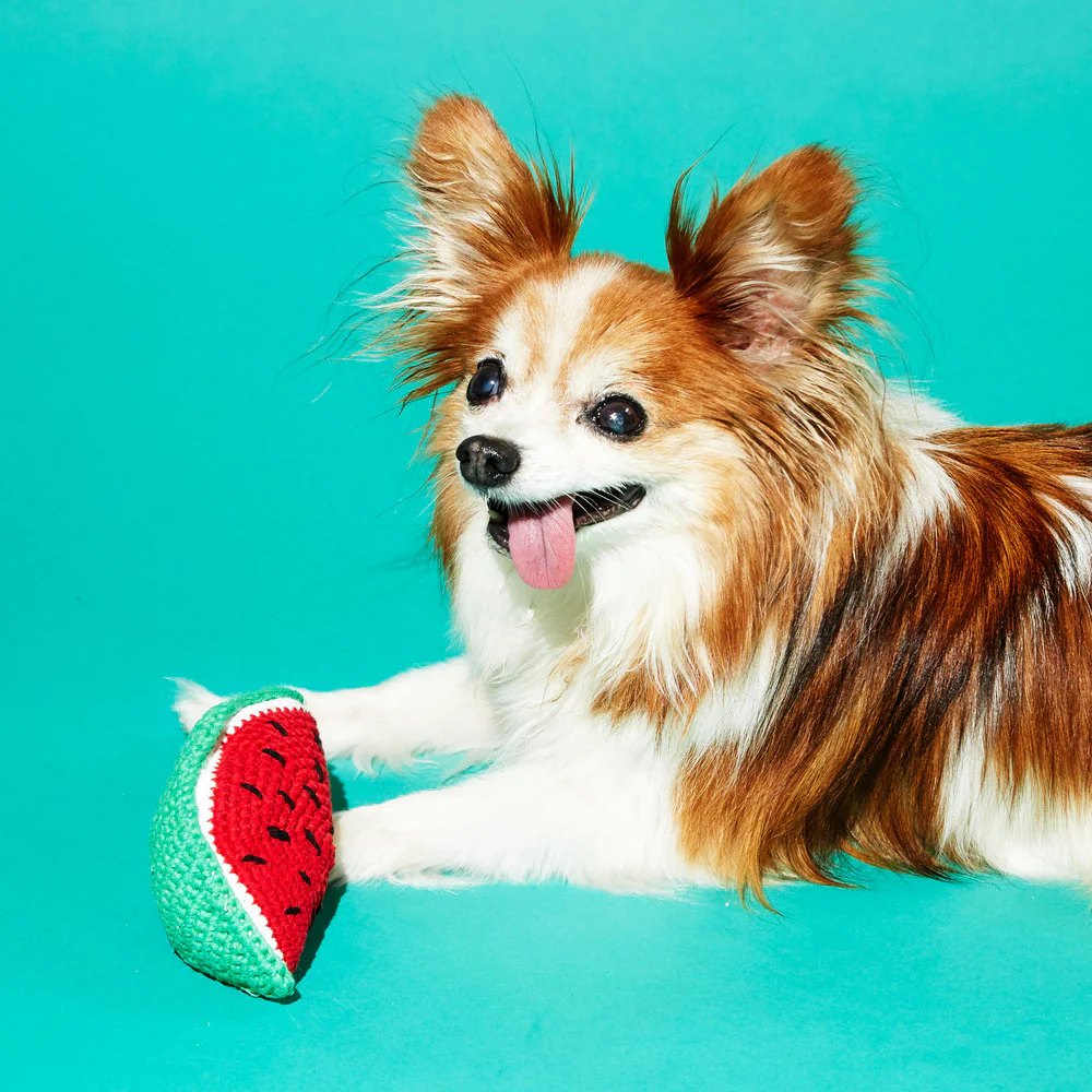 WARE OF THE DOG | Hand Crochet Watermelon Toy - Image 2