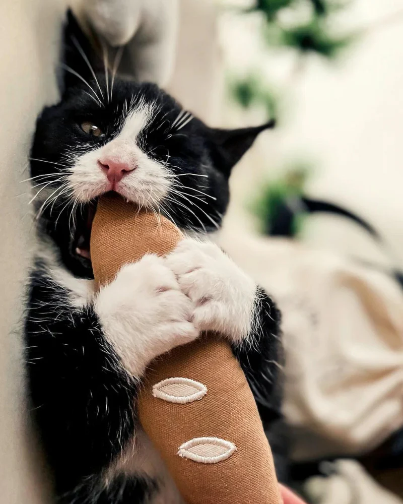 Warm Baguette Catnip Toy - Image 3
