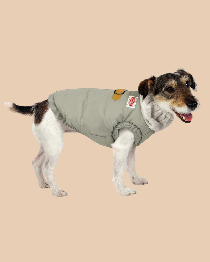 Warm Up Harness Jacket in Beige - Image 2