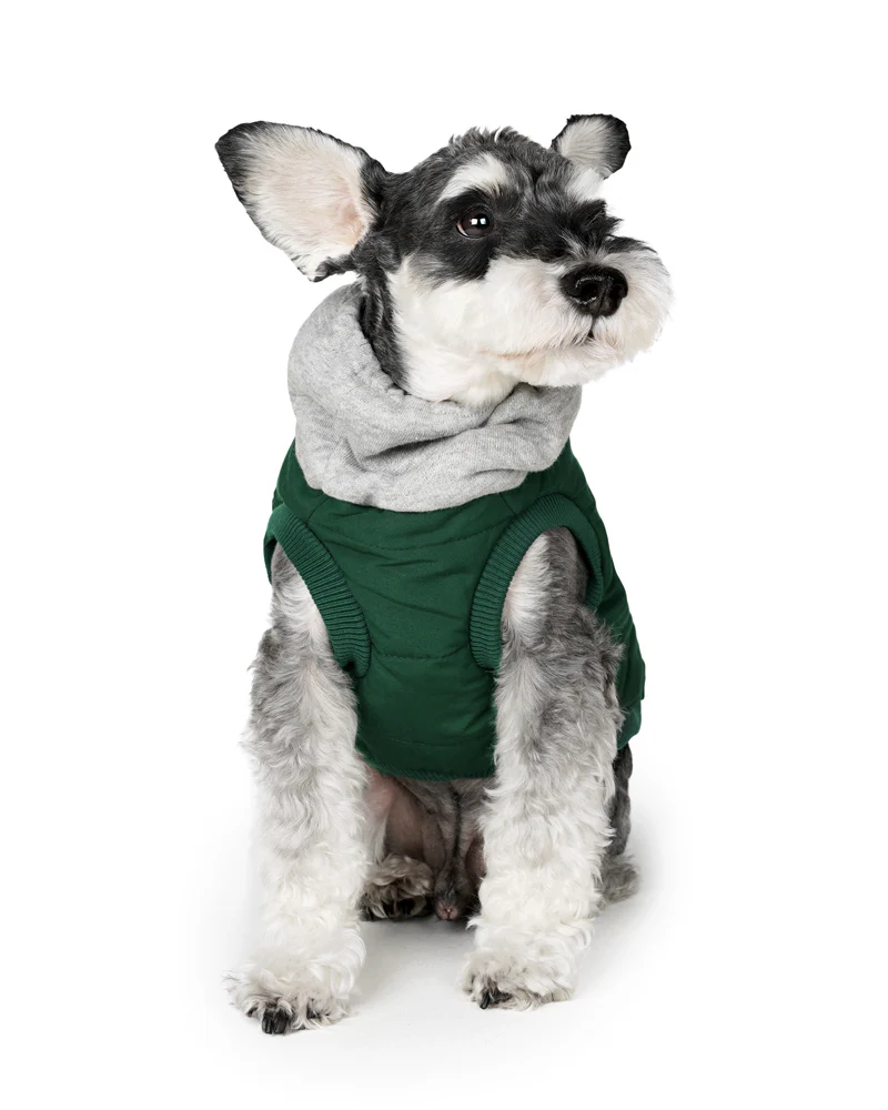 Warm Up Harness Jacket in Deep Green (FINAL SALE) - Image 6