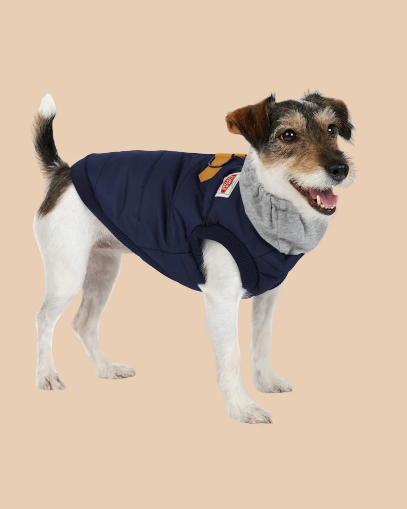 Warm Up Harness Jacket in Navy<br>((FINAL SALE)) - Image 2