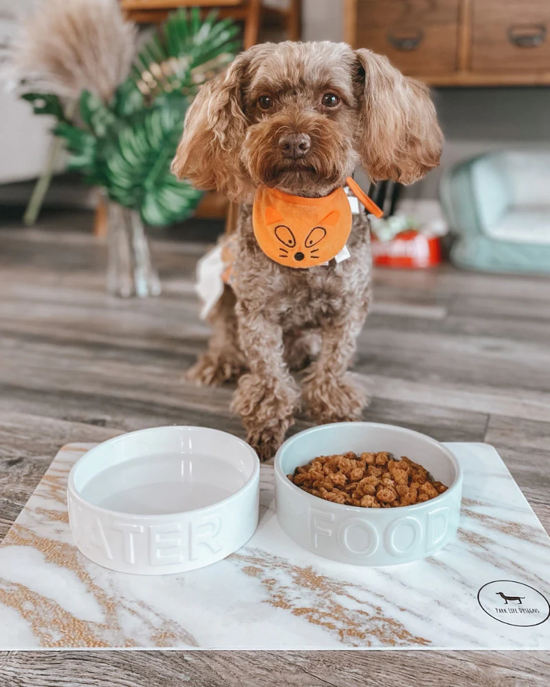 Classic Water Ceramic Pet Bowl in White - Image 7
