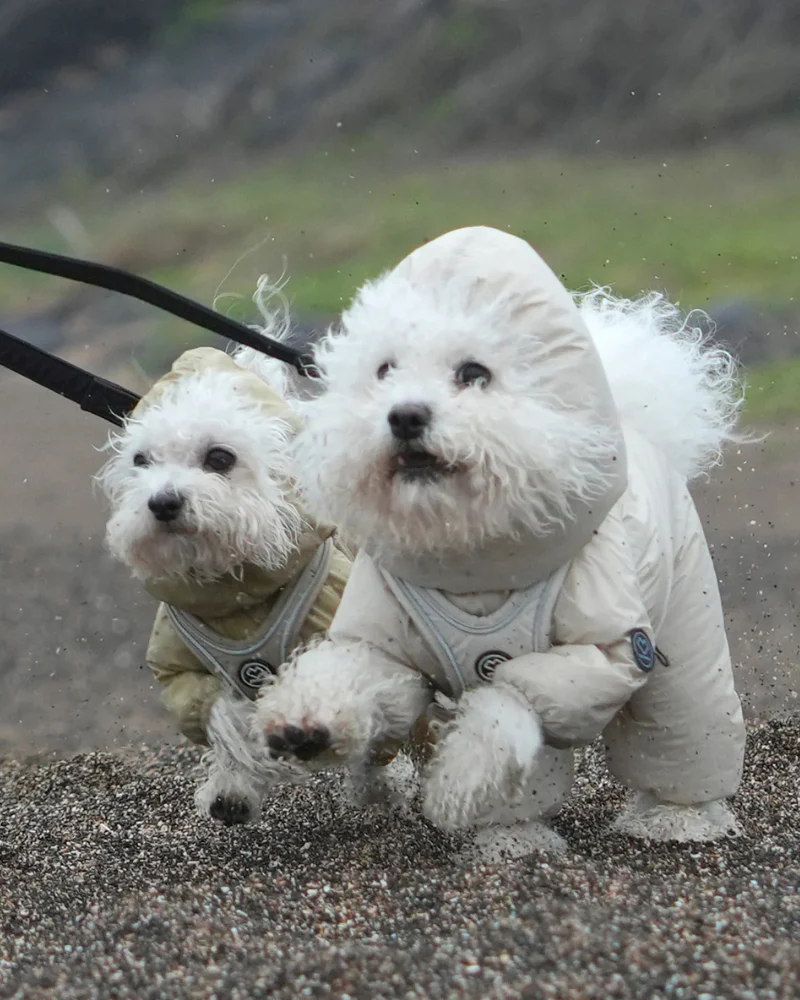 Waterproof Air Coverall for Dogs - Image 7