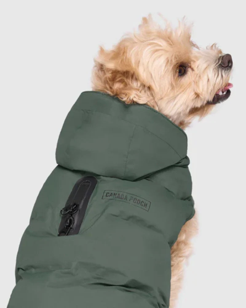 Waterproof Dog Puffer in Forest Green (FINAL SALE) - Image 3
