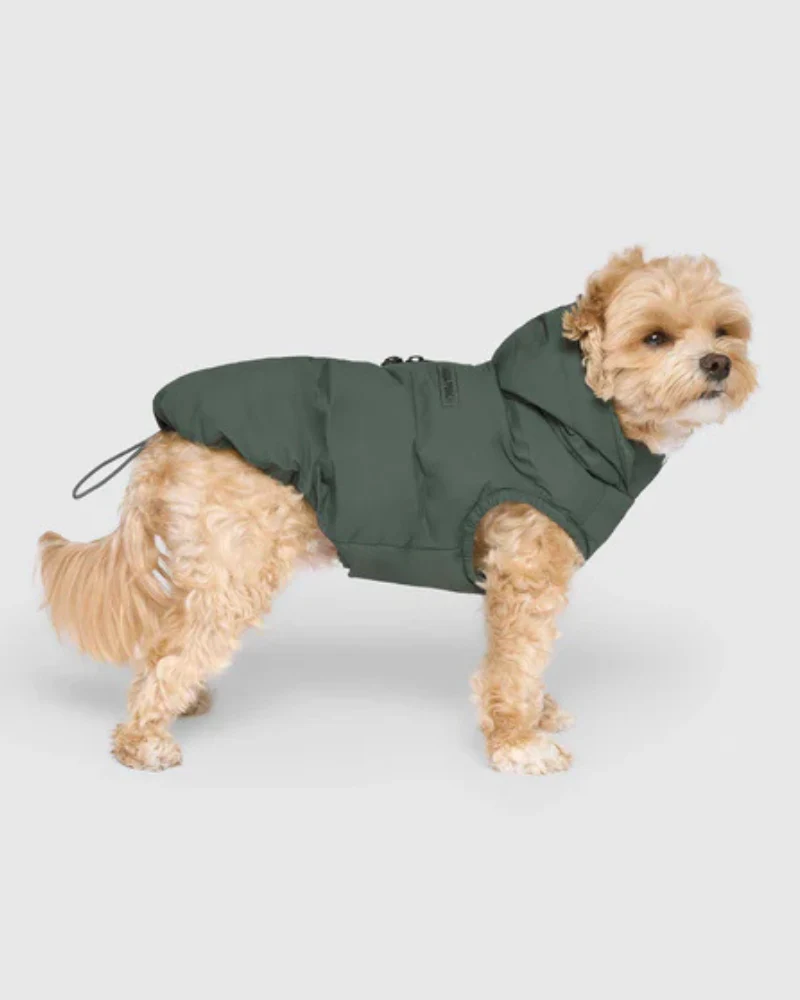 Waterproof Dog Puffer in Forest Green (FINAL SALE) - Image 4
