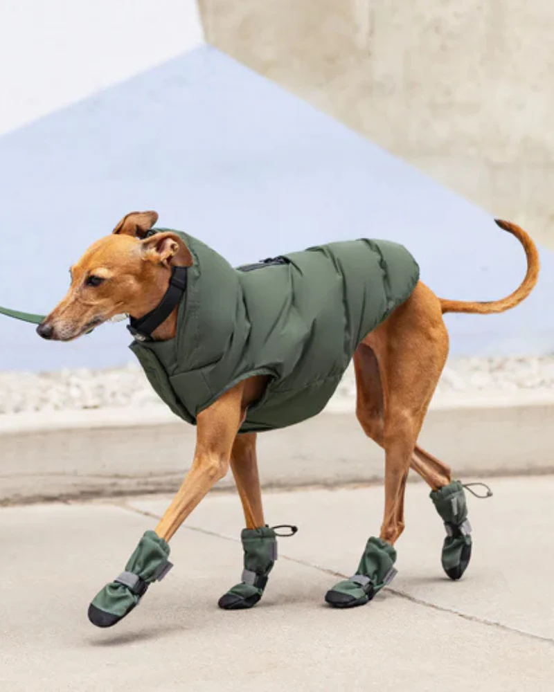 Waterproof Dog Puffer in Forest Green (FINAL SALE) - Image 5