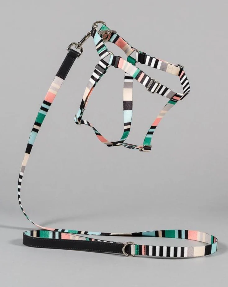Webbing Nylon Dog Harness in Green Stripe (Made in the USA) (CLEARANCE)