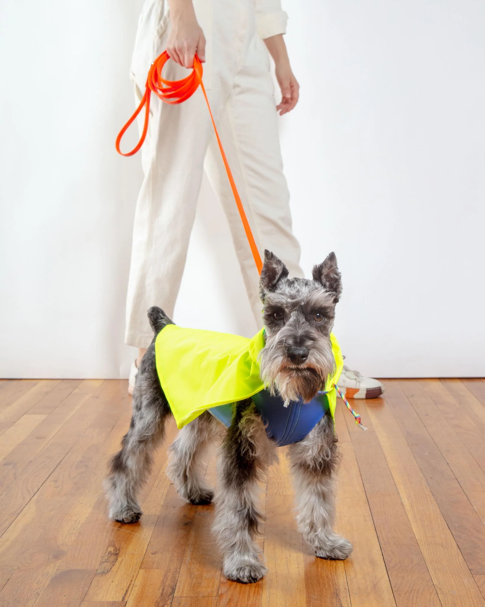 Weekend Long Leash in Neon Orange (10 or 20 Foot) (Made in the USA) - Image 2
