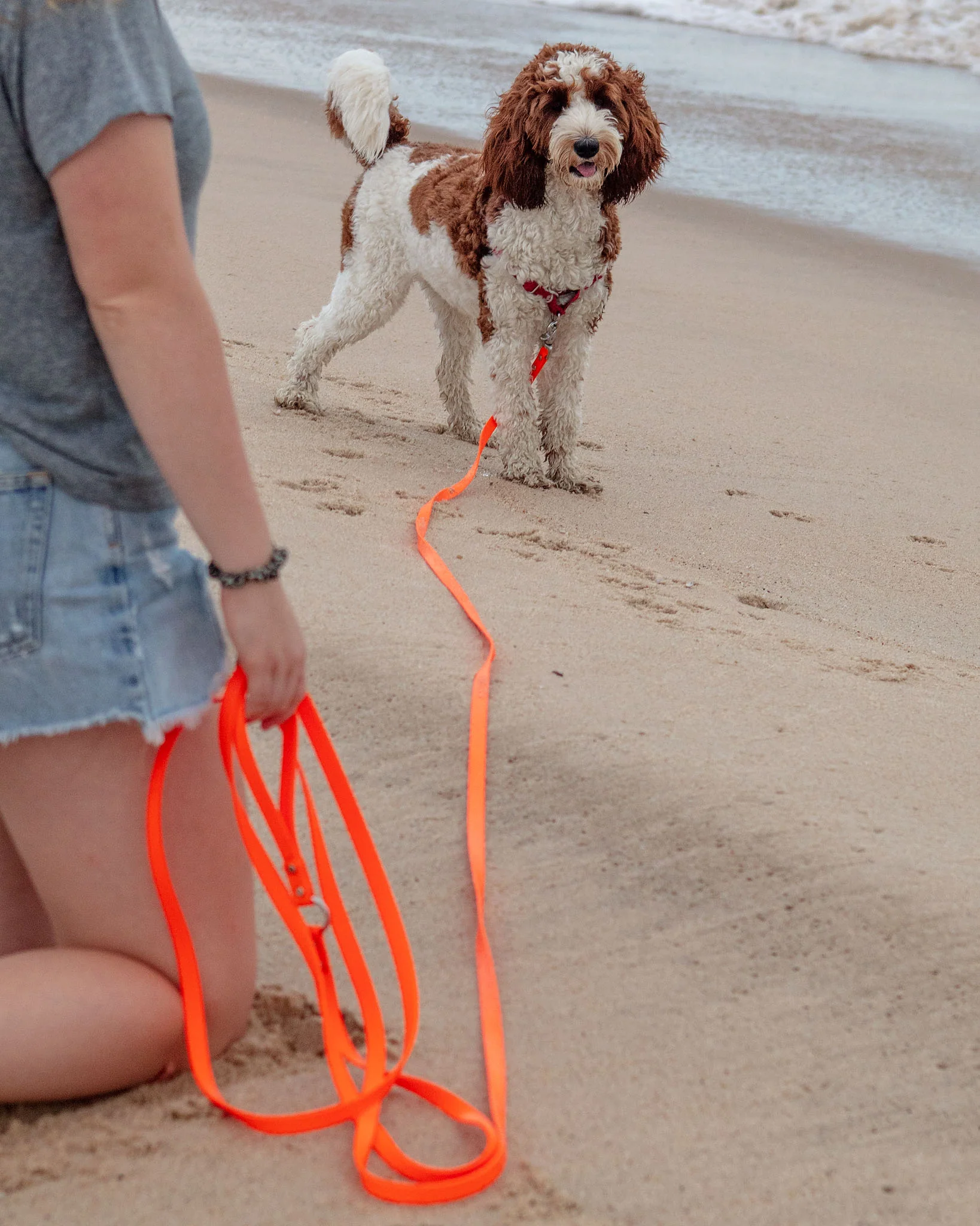 Weekend Long Leash in Neon Orange (10 or 20 Foot) (Made in the USA) - Image 5
