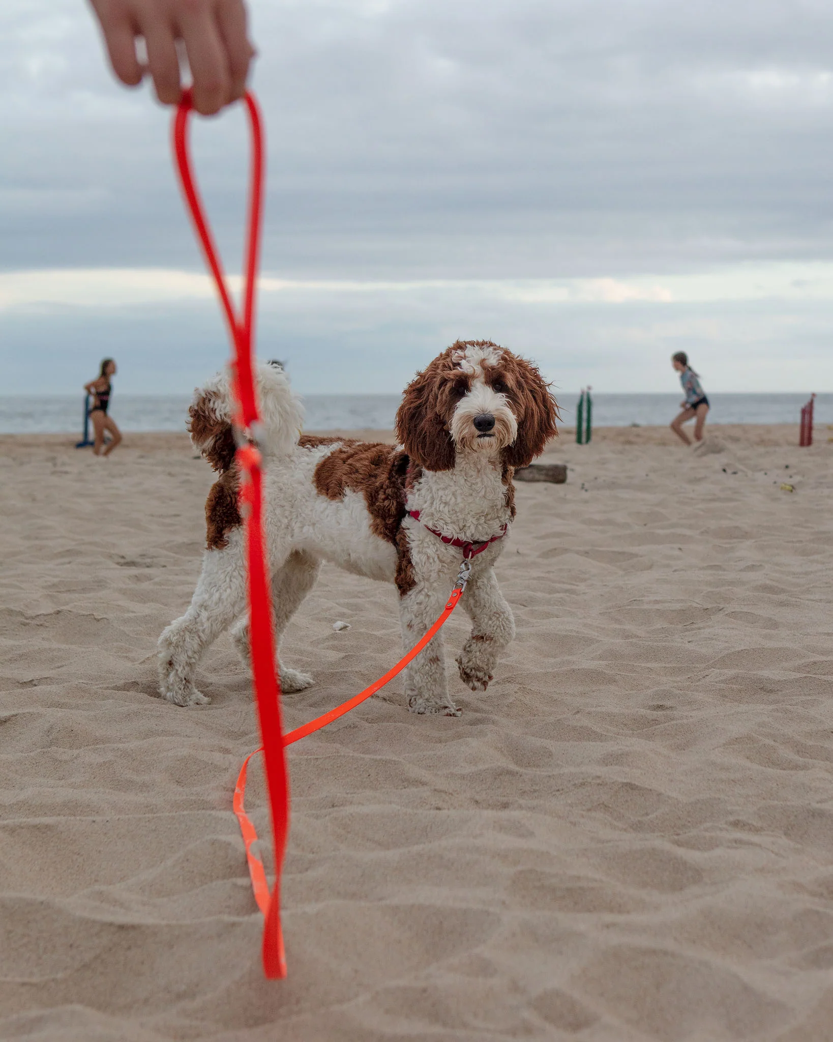 Weekend Long Leash in Neon Orange (10 or 20 Foot) (Made in the USA) - Image 7