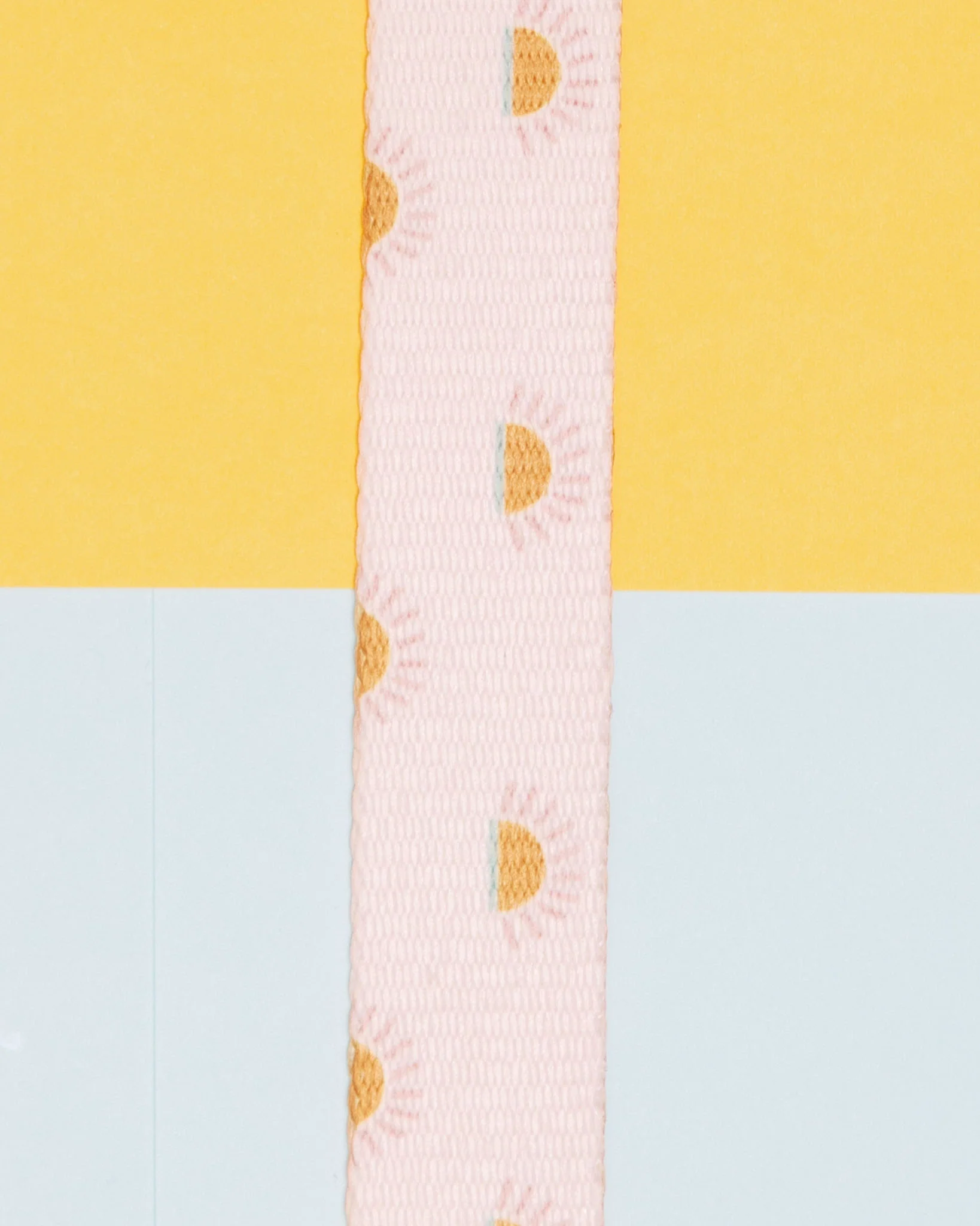 Nylon Dog Lead in Joshua Tree Print - Image 2