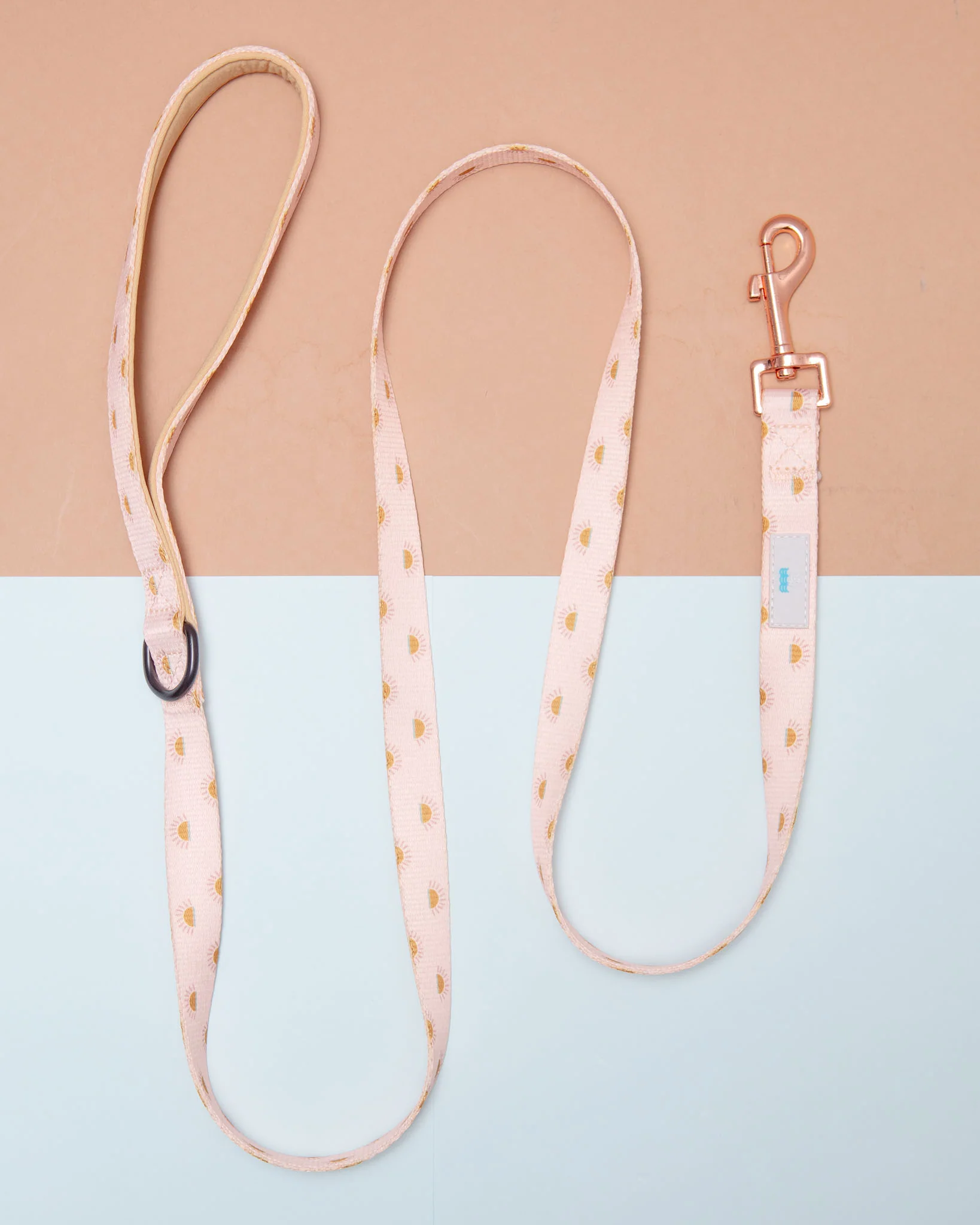 Nylon Dog Lead in Joshua Tree Print - Image 3