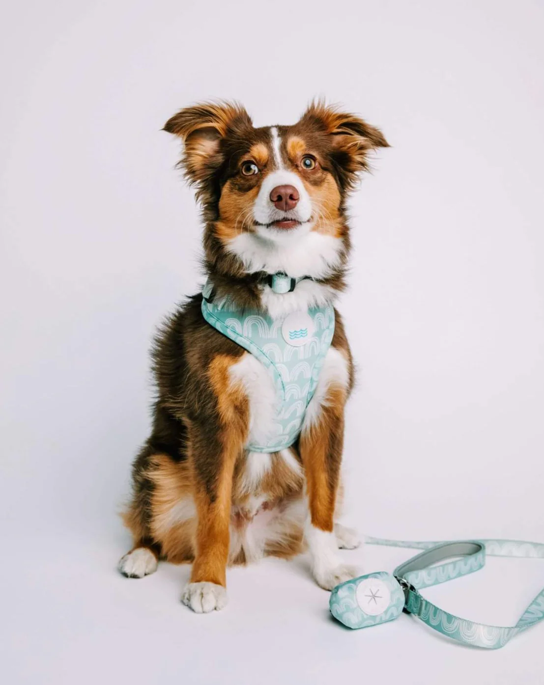 Soft Mesh Dog Harness in Indio Print (CLEARANCE) - Image 4