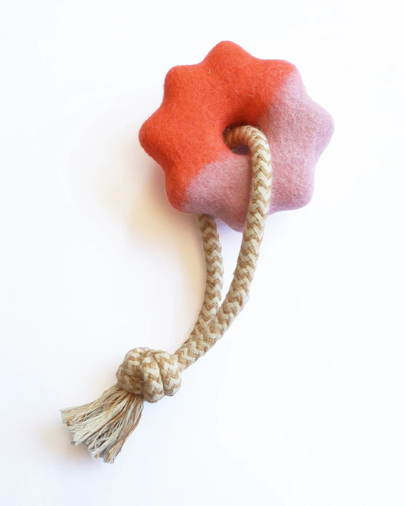 Wheely Good Time Felt & Rope Dog Tug Toy - Image 3