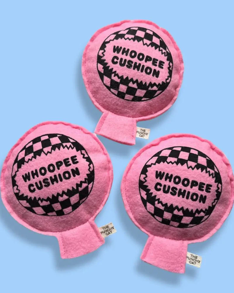 Whoopee Cushion Catnip Toy - Image 3