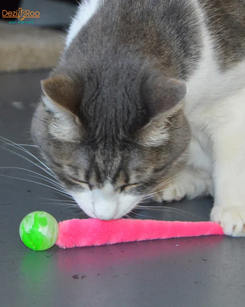 Wiggy Ball Cat Toy (Made in the USA) - Image 6