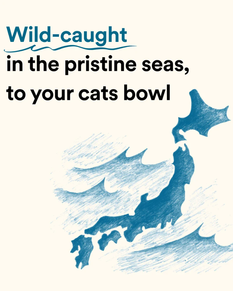Wild Caught Umami Bonito Flakes for Cats & Dogs - Image 5