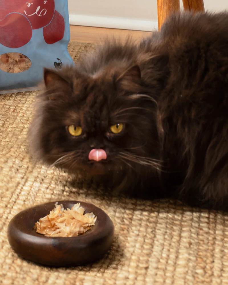 Wild Caught Umami Bonito Flakes for Cats & Dogs - Image 8