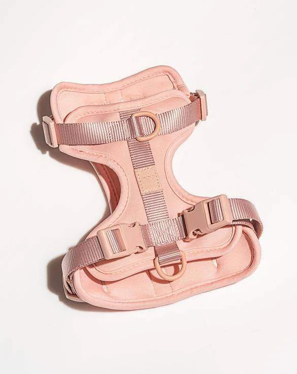 Cushioned Dog Harness in Blush