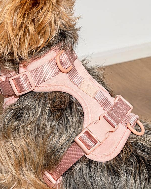 Cushioned Dog Harness in Blush - Image 2