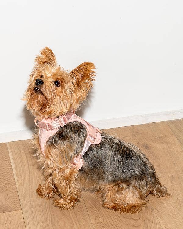 Cushioned Dog Harness in Blush - Image 3