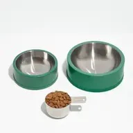 Wild One Dog Bowl in Spruce - Image 2