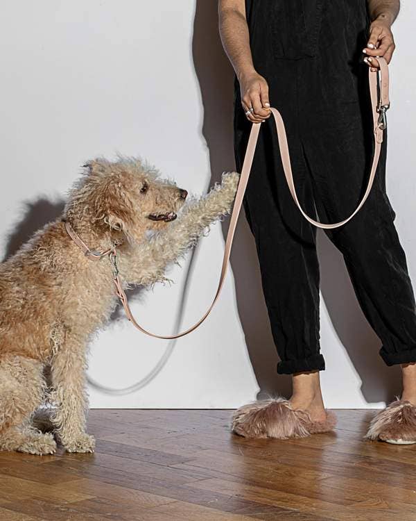 Durable Dog Leash in Blush << CLEARANCE >> - Image 4