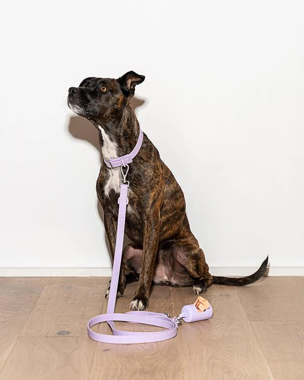 Durable Dog Leash in Lilac (FINAL SALE) - Image 5