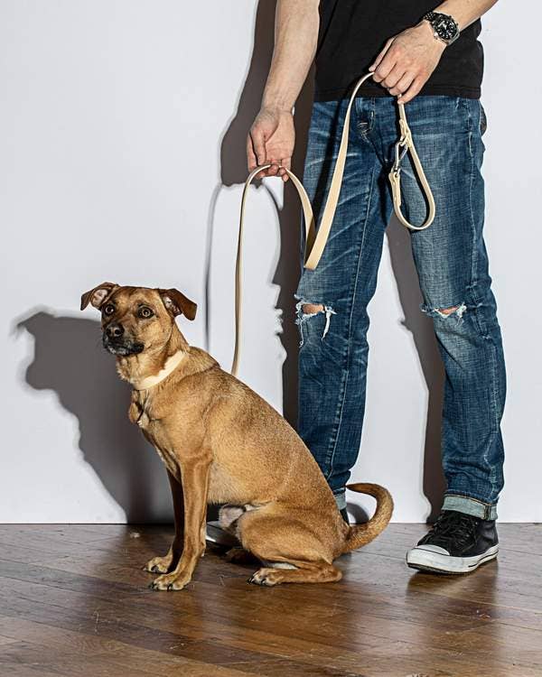 Durable Dog Leash in Tan << FINAL SALE >> - Image 4