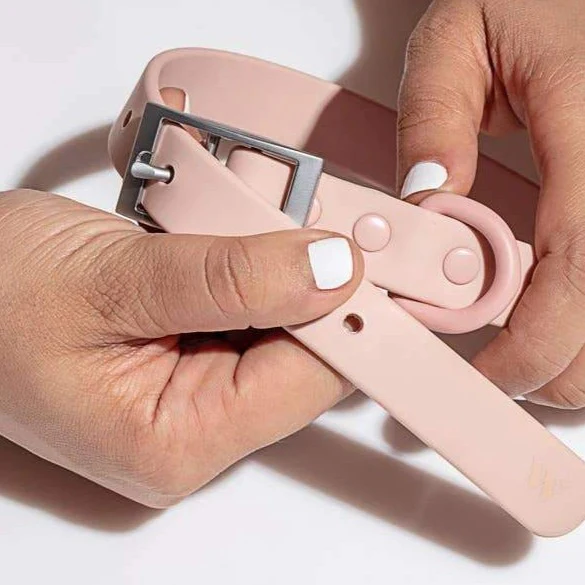 Modern Dog Collar in Blush << CLEARANCE >> - Image 2
