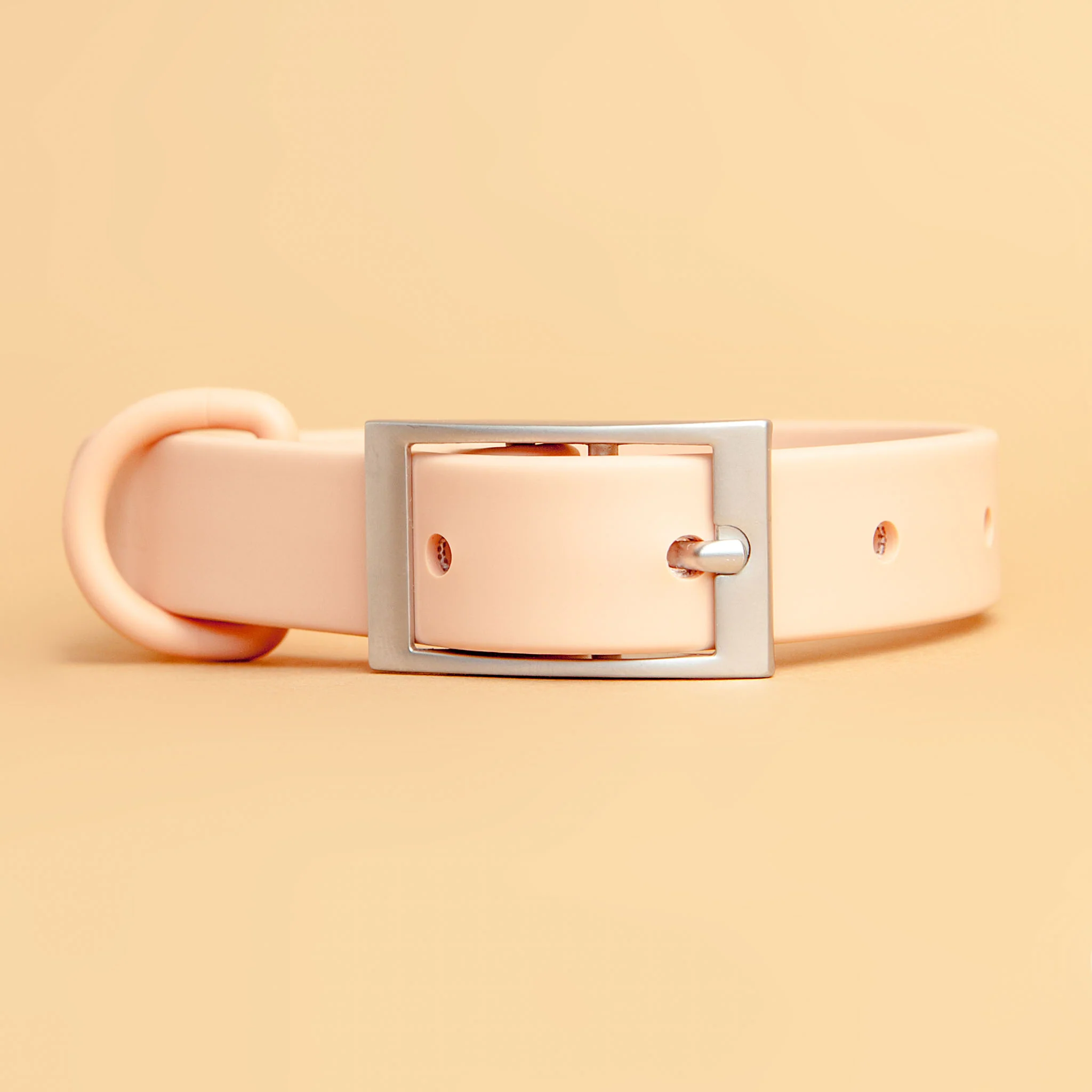 Modern Dog Collar in Blush << CLEARANCE >> - Image 8