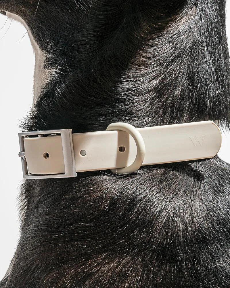 Modern Dog Collar in Gray (FINAL SALE) - Image 3