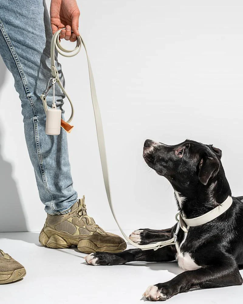 Modern Dog Collar in Gray (FINAL SALE) - Image 5