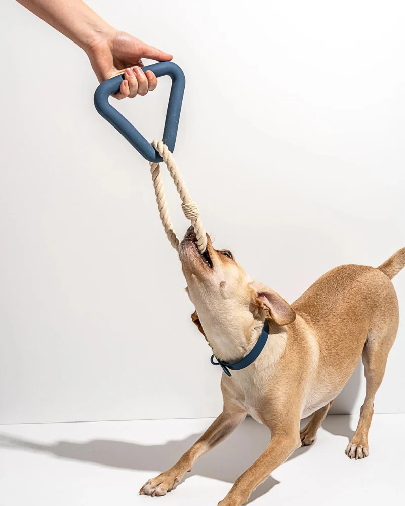 Triangle Dog Tug Toy - Image 10