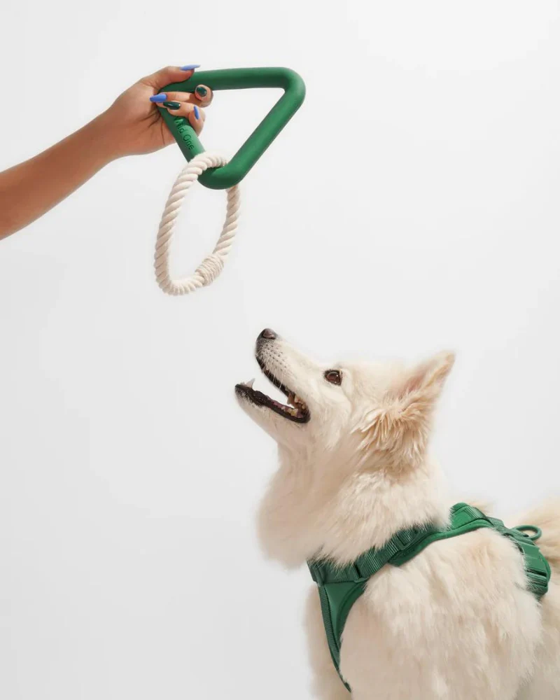 Triangle Dog Tug Toy - Image 2