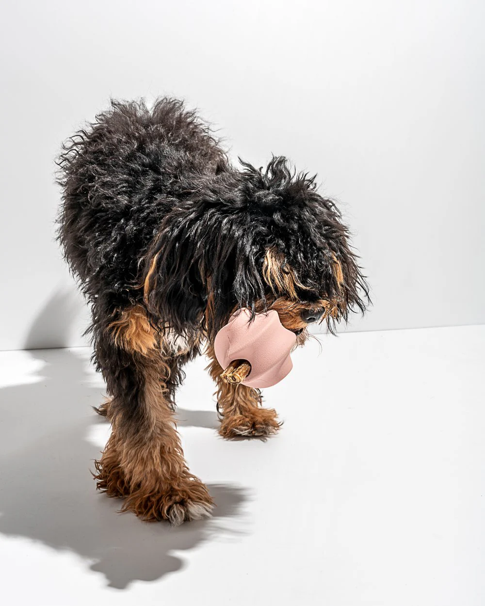 Twist Toss Dog Toy in Blush - Image 2