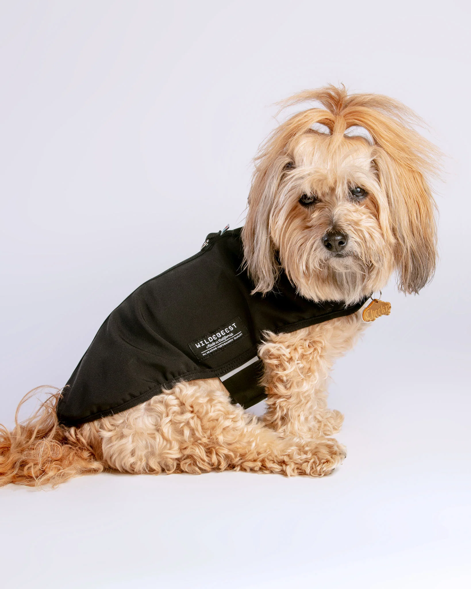 All Weather Jacket in Black (Made in the USA) - Image 2