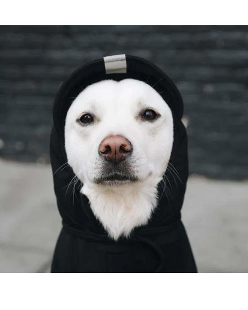 All Weather Jacket in Black (Made in the USA) - Image 3