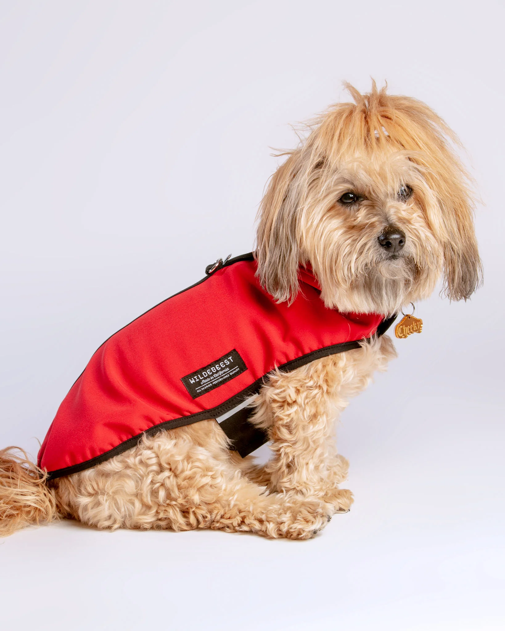All Weather Jacket in Red - Image 2