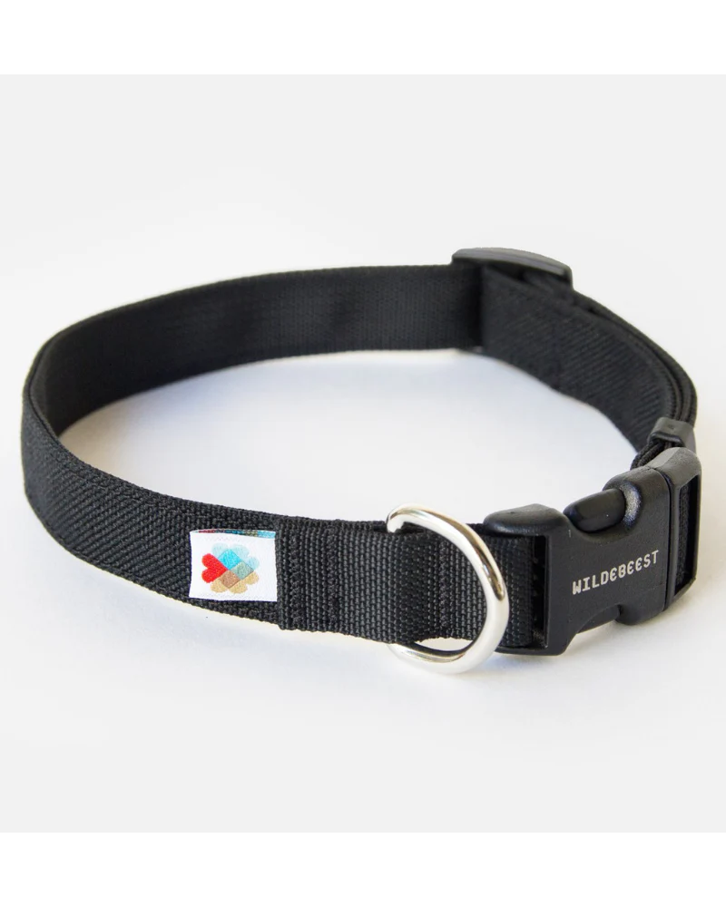 Funston Dog Collar in Black (CLEARANCE) - Image 3