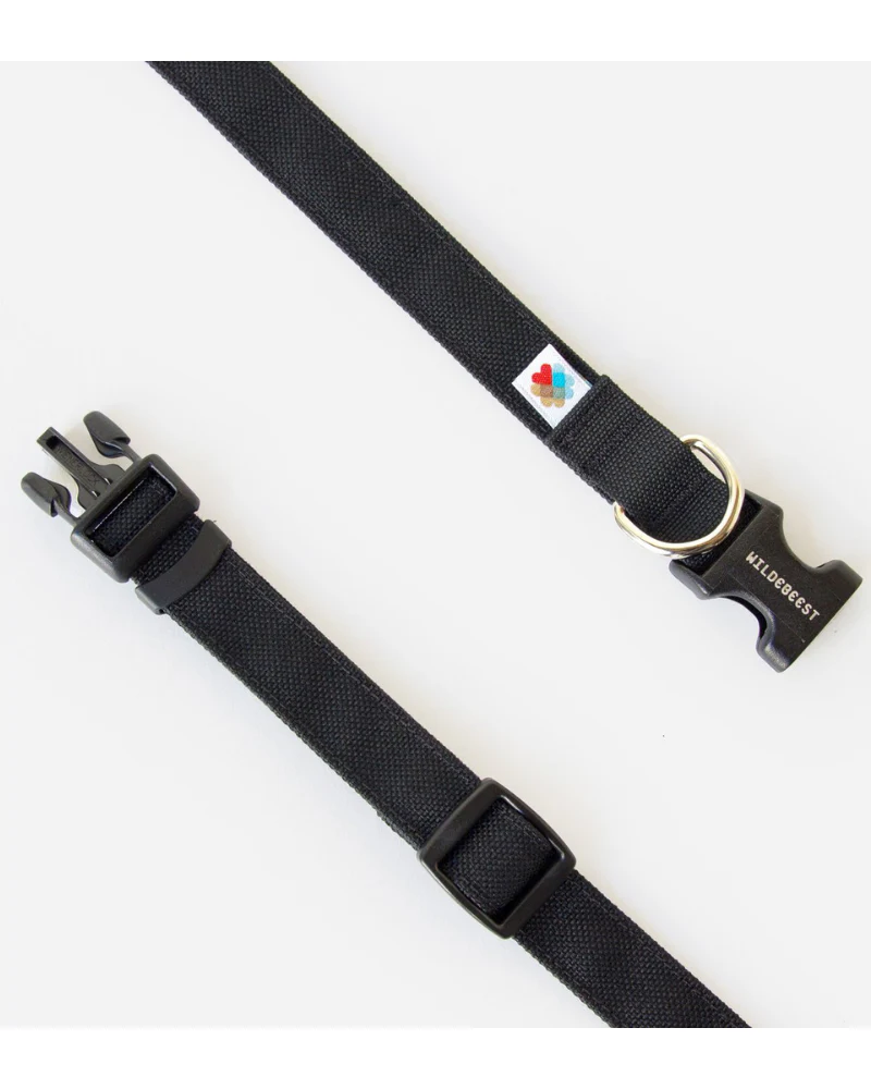 Funston Dog Collar in Black (CLEARANCE) - Image 4