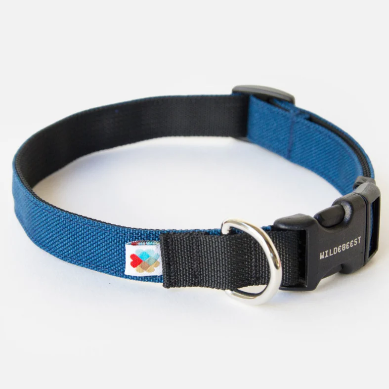 Funston Dog Collar in Navy (Made in the USA) (FINAL SALE) - Image 2