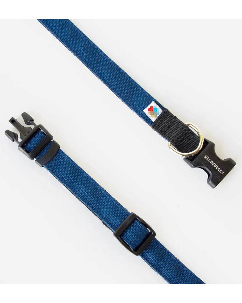Funston Dog Collar in Navy (Made in the USA) (FINAL SALE) - Image 3
