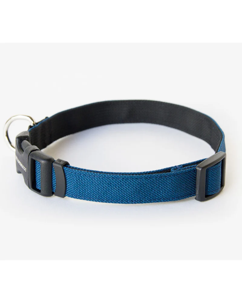 Funston Dog Collar in Navy (Made in the USA) (FINAL SALE) - Image 4
